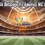 Prediksi Bola Botafogo Vs America MG 15 Juli 2022