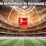 Prediksi Bola Hoffenheim Vs Dortmund 25 Feb 2023