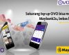 Cara Top Up OVO Lewat Maybank