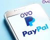 Cara Transfer Saldo Paypal Ke OVO Pasti Berhasil