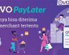 Daftar Merchant OVO Paylater