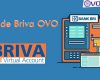 Kode Briva OVO Terbaru dari Fungsi dan Cara Menggunakan